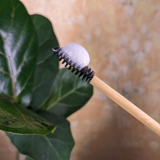 bamboo handle mascara wand beauty professional disposable tools. clean product, natural lashes. fiddle leaf fig